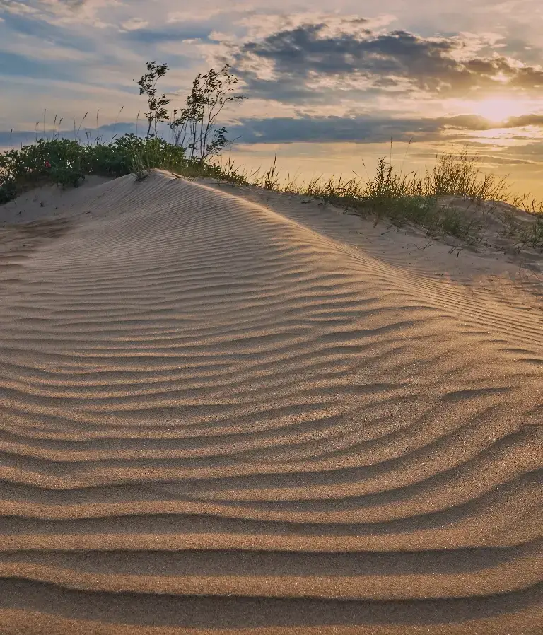 Dunes at Point Pleasant Beach